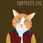 Fantastic Cat